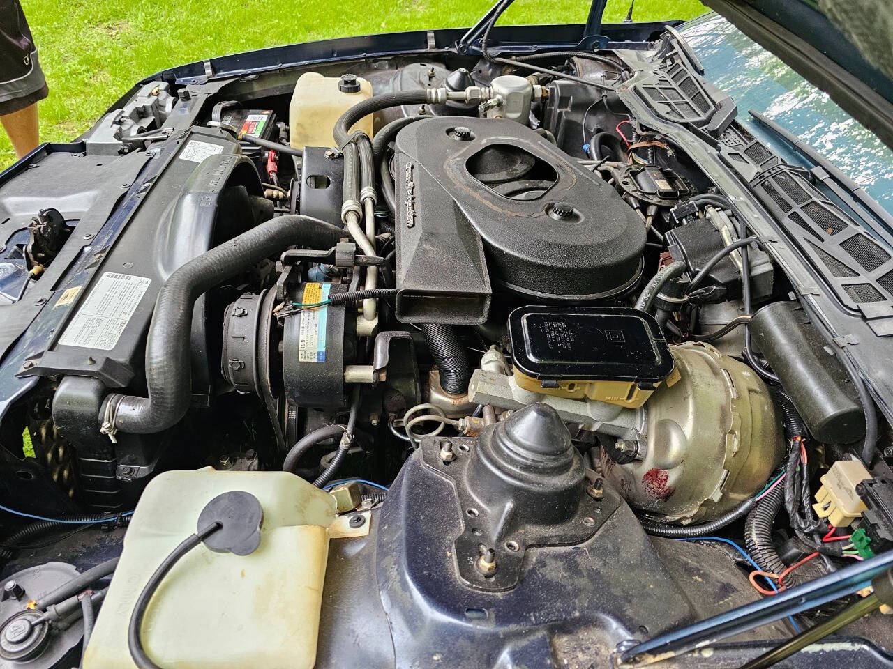 1982 Chevrolet Camaro 185