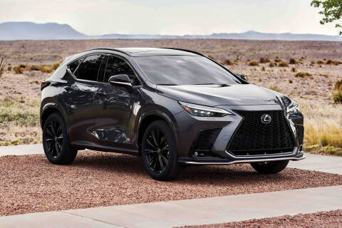 2022 Lexus NX 350 for sale at XS Leasing in Brooklyn NY