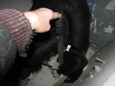 1933 Chevrolet Classic