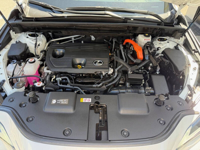 2024 Lexus NX 350h