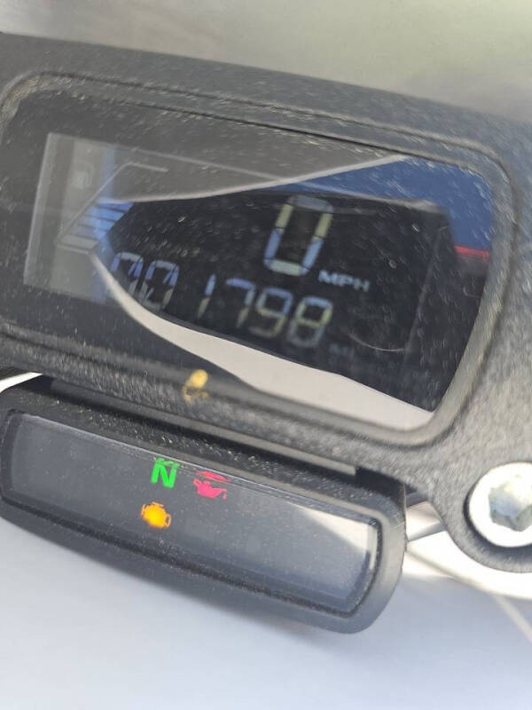 2019 Harley-Davidson Softail