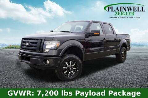 2010 Ford F-150 for sale at Zeigler Ford of Plainwell- Jeff Bishop in Plainwell MI
