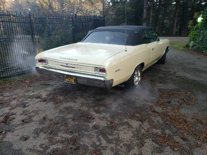 1966 Chevrolet Chevelle