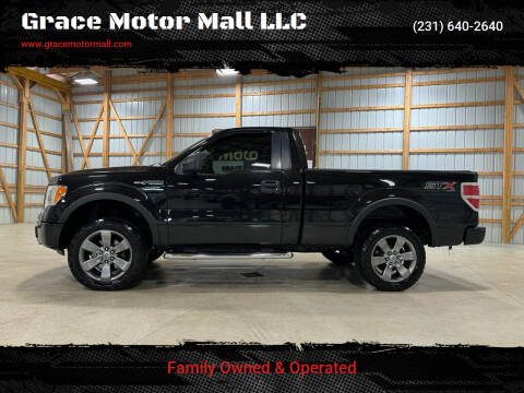 2014 Ford F-150 for sale at Grace Motor Mall LLC in Traverse City MI