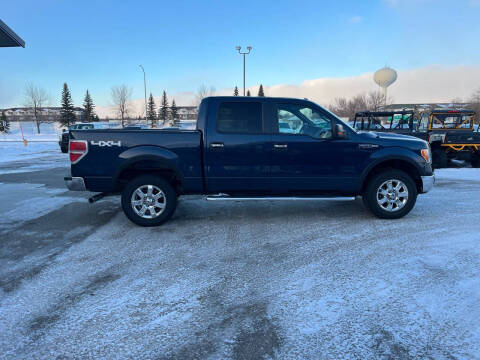 2014 Ford F-150 for sale at Crown Motor Inc in Grand Forks ND
