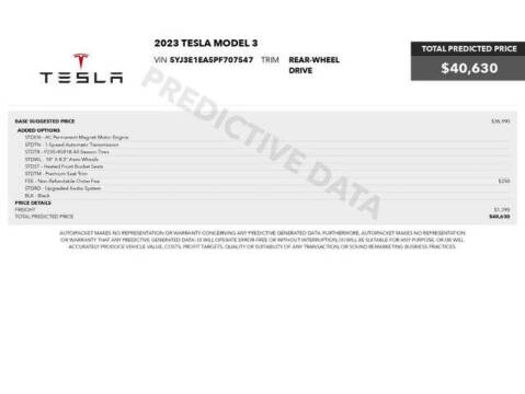 2023 Tesla Model 3