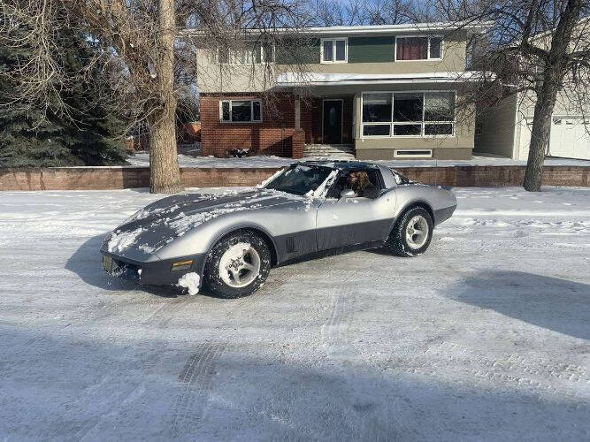 1981 Chevrolet Corvette