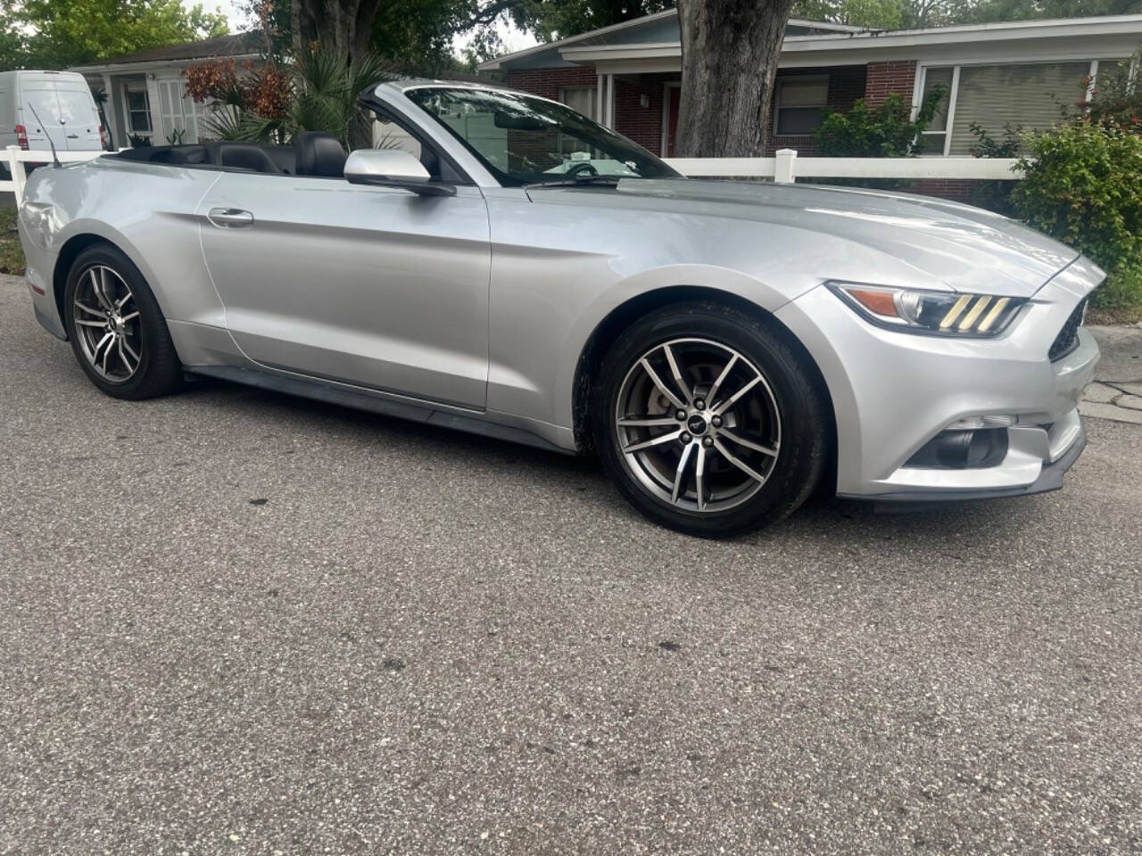 2017 Ford Mustang for sale at ABSOLUTE FLORIDA CARS LLC in TAMPA, FL