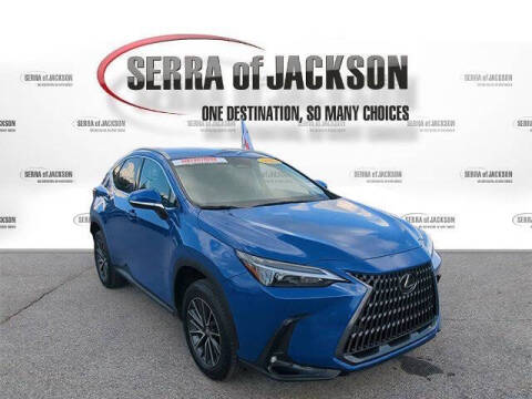 2025 Lexus NX 250