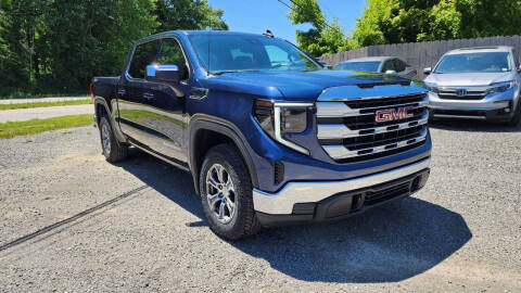 2023 GMC Sierra 1500 for sale at US-Euro Auto in Burton OH