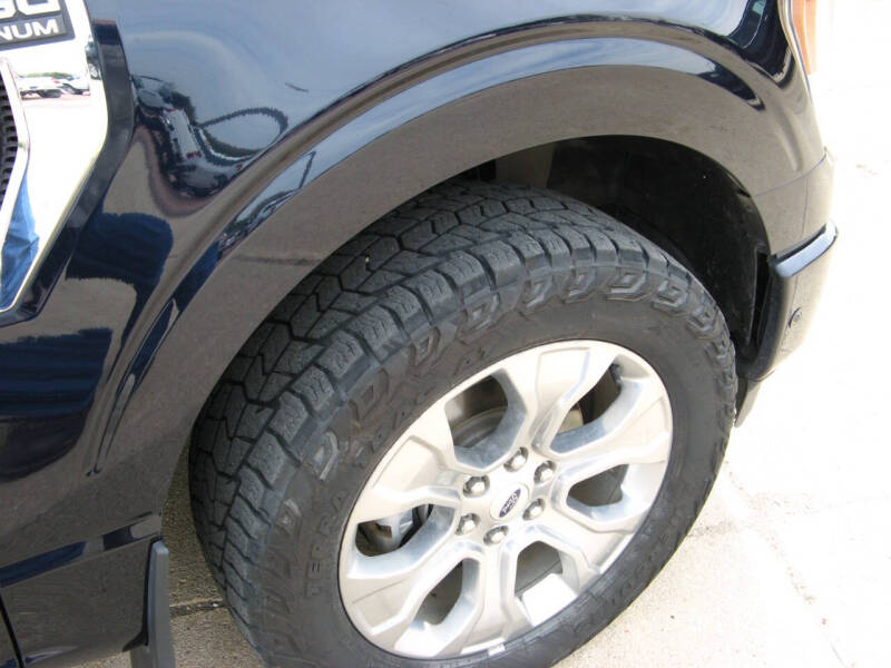 2021 Ford F-150 Platinum photo 3