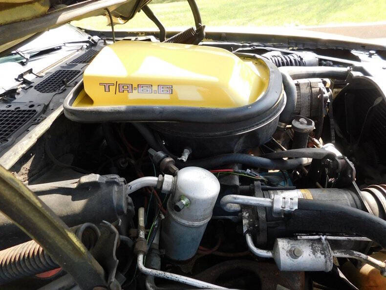 1979 Pontiac Firebird Trans Am