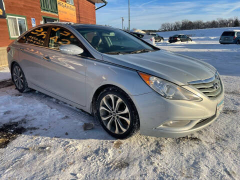 2013 Hyundai Sonata for sale at H & G AUTO SALES LLC in Princeton MN