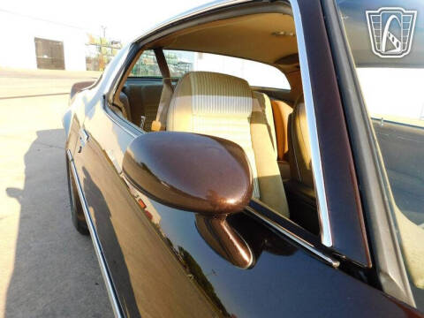 1981 Pontiac Firebird Trans Am