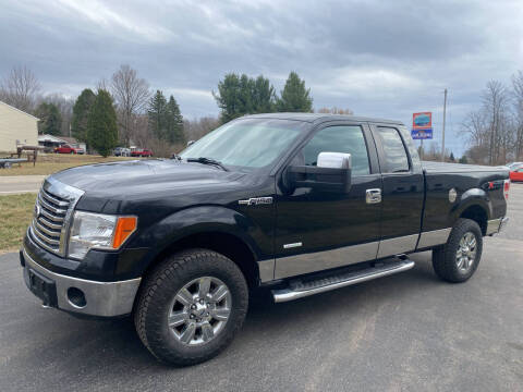2012 Ford F-150 for sale at Sam Adams Motors in Cedar Springs MI
