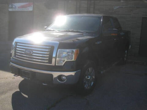 2010 Ford F-150 for sale at ELITE AUTOMOTIVE in Euclid OH