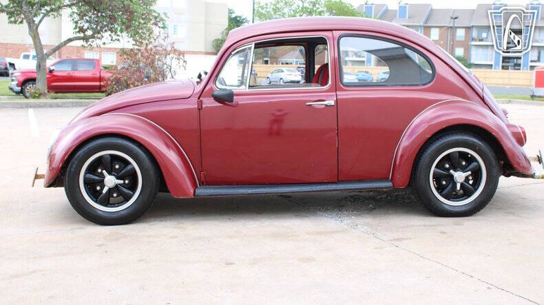 1966 Volkswagen Beetle
