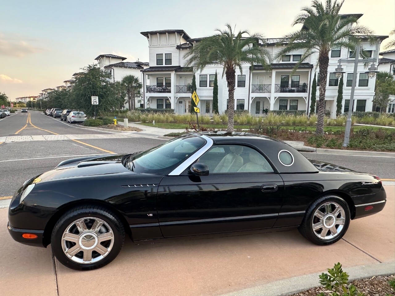 2004 Ford Thunderbird for sale at EUROPEAN MOTORCARS OF TAMPA in Tampa, FL