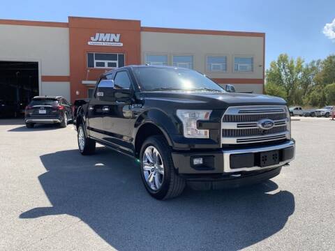2015 Ford F-150 for sale at Fenton Auto Sales in Maryland Heights MO