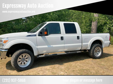 2015 Ford F-250 Super Duty for sale at Expressway Auto Auction in Howard City MI
