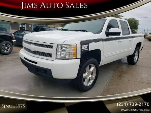 2011 Chevrolet Silverado 1500 for sale at Jims Auto Sales in Muskegon MI