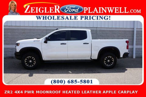 2022 Chevrolet Silverado 1500 for sale at Zeigler Ford of Plainwell - Avery Ziegler in Plainwell MI