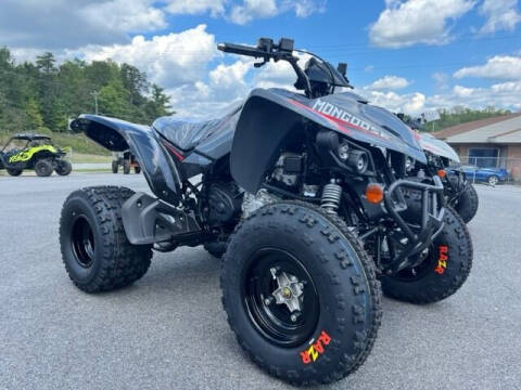 2023 Kymco MONGOOSE 270 I for sale at Used Powersports in Reidsville NC