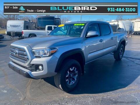 2017 Toyota Tacoma for sale at Blue Bird Motors in Crossville TN