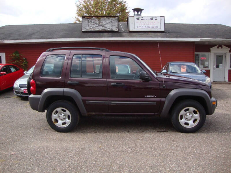 2004 Jeep Liberty for sale at G and G AUTO SALES in Merrill WI