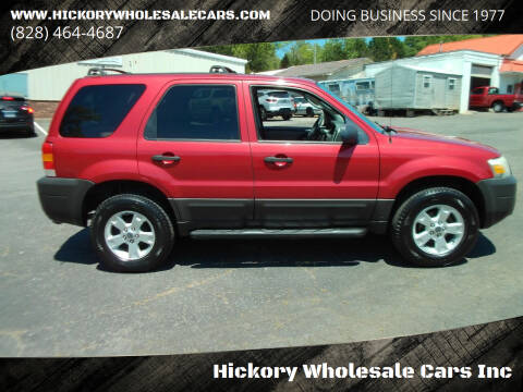 2006 Ford Escape for sale at Hickory Wholesale Cars Inc in Newton NC