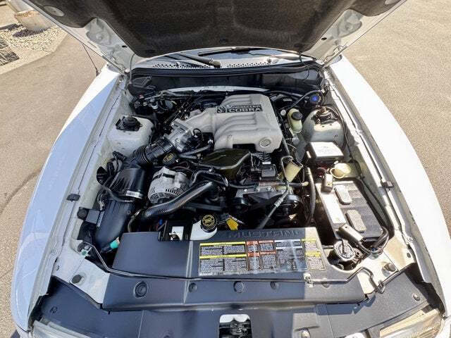 1994 Ford Mustang SVT Cobra