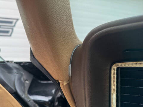 1981 Pontiac Firebird Trans Am