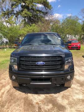 2014 Ford F-150 for sale at Mega Cars of Greenville in Greenville SC