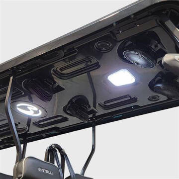 2024 Bintelli NEXUS 4PF FORWARD FACING