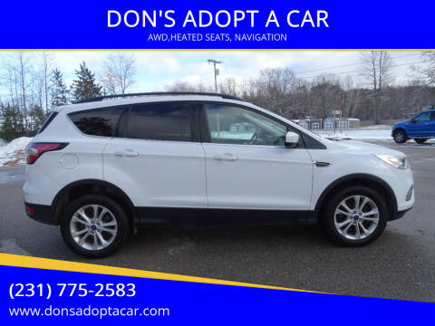 2017 Ford Escape for sale at DON'S ADOPT A CAR in Cadillac MI