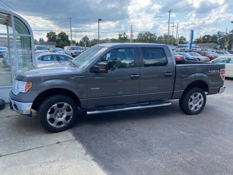 2011 Ford F-150 for sale at Premier Automotive Sales LLC in Kentwood MI