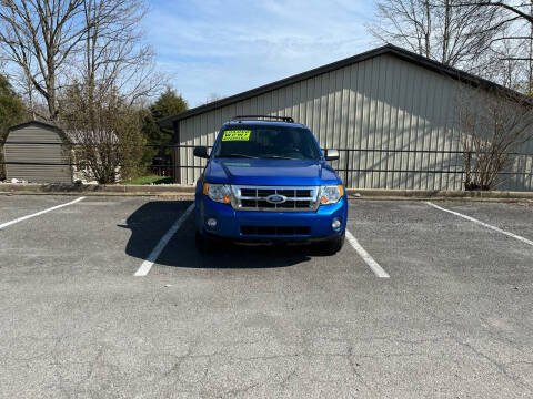 2011 Ford Escape for sale at Budget Auto Outlet Llc in Columbia KY
