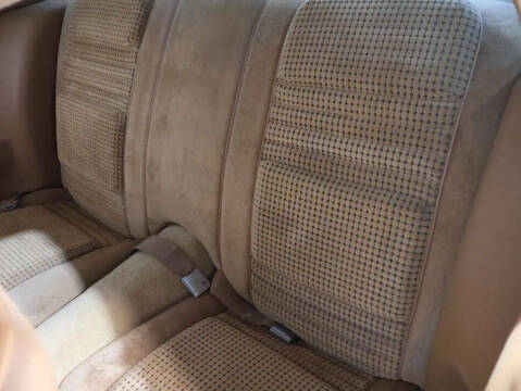 1979 Pontiac Firebird