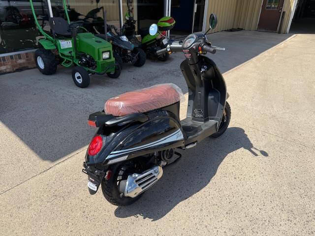 2025 Icebear Ascend Bella