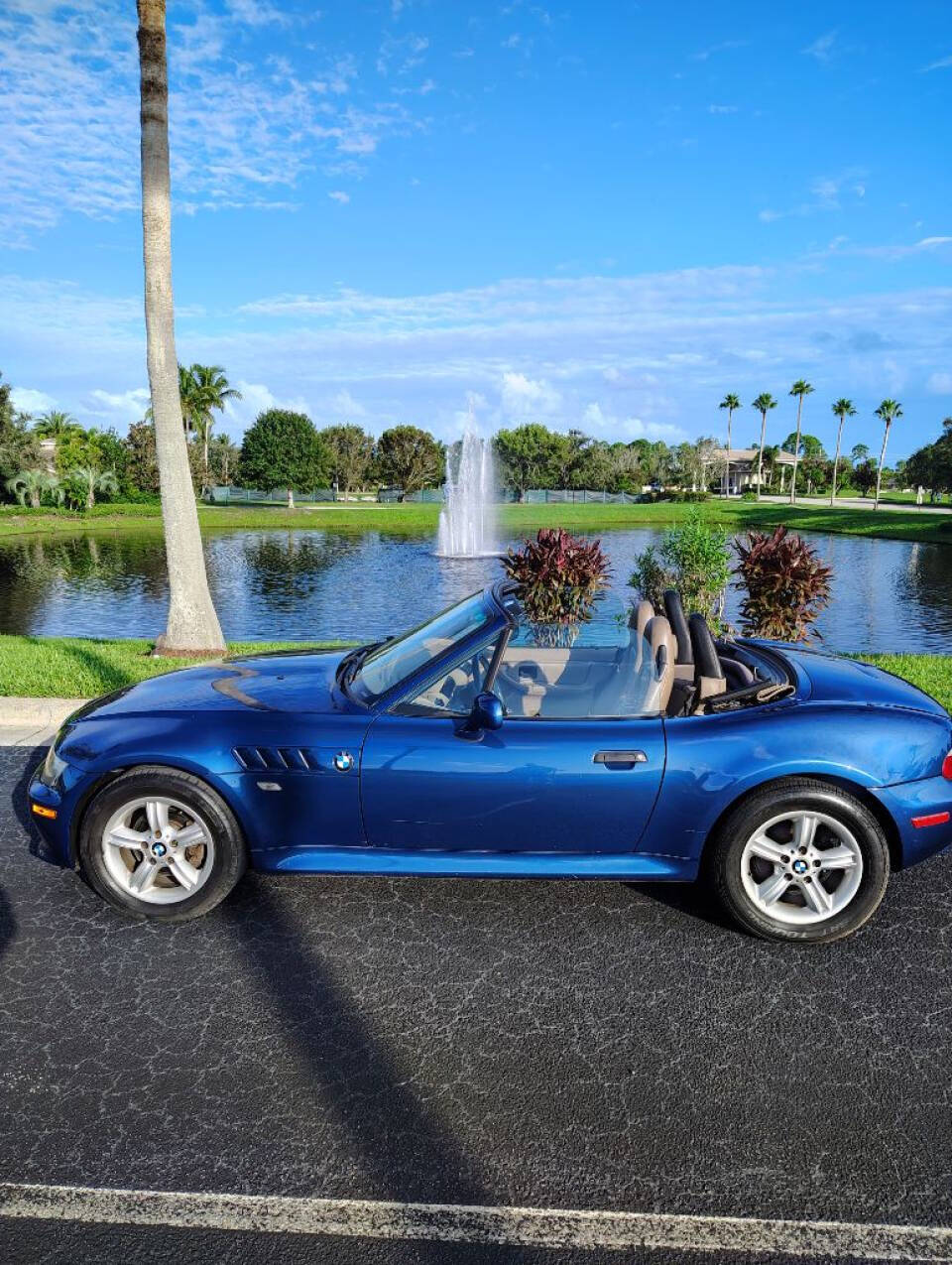 2001 BMW Z3 for sale at Amatrudi Motor Sports in Fort Pierce, FL