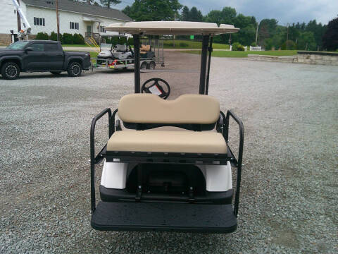 2014 Yamaha G29 4 Passenger Gas