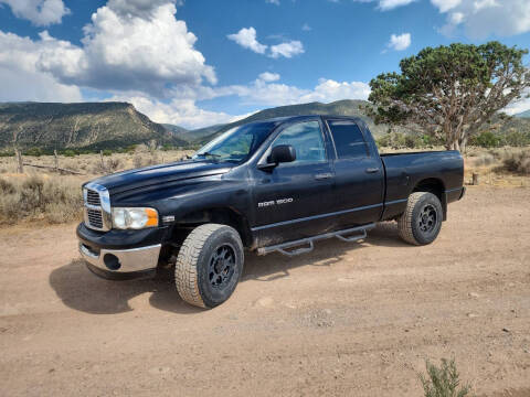 2003 Dodge Ram 1500 for sale at Canyon View Auto Sales in Cedar City UT