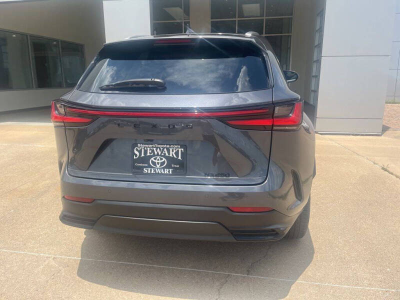 2025 Lexus NX 250 Premium
