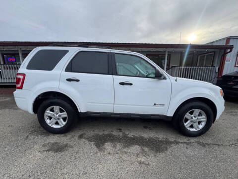 2009 Ford Escape Hybrid