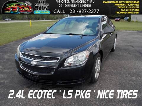 2010 Chevrolet Malibu for sale at Tri County Motor Sales in Howard City MI