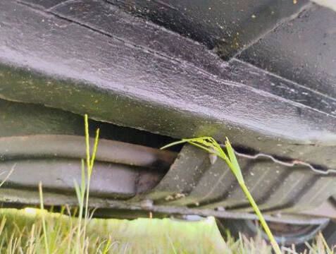 1960 Ford Thunderbird