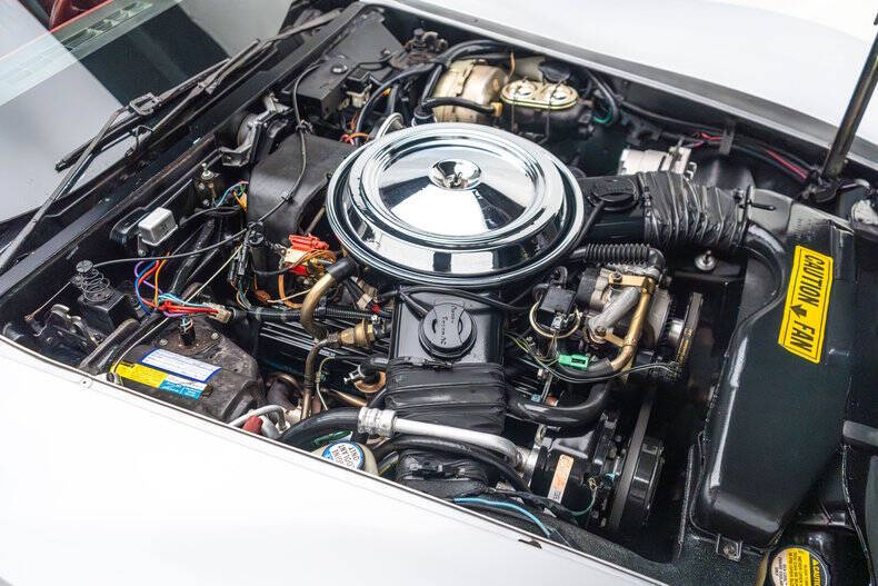 1981 Chevrolet Corvette