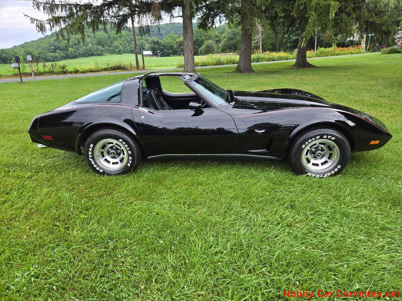 1979 Chevrolet Corvette 10