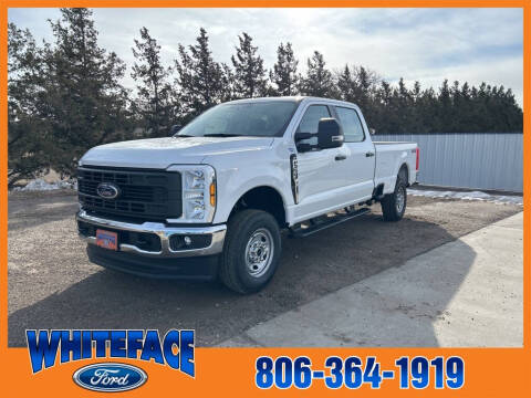 2025 Ford F-250 Super Duty for sale at Whiteface Ford in Hereford TX