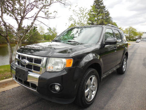 2011 Ford Escape Limited